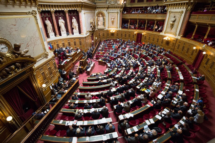 Senat
